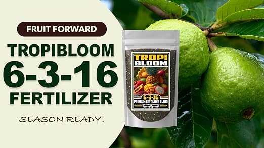 TropiBloom