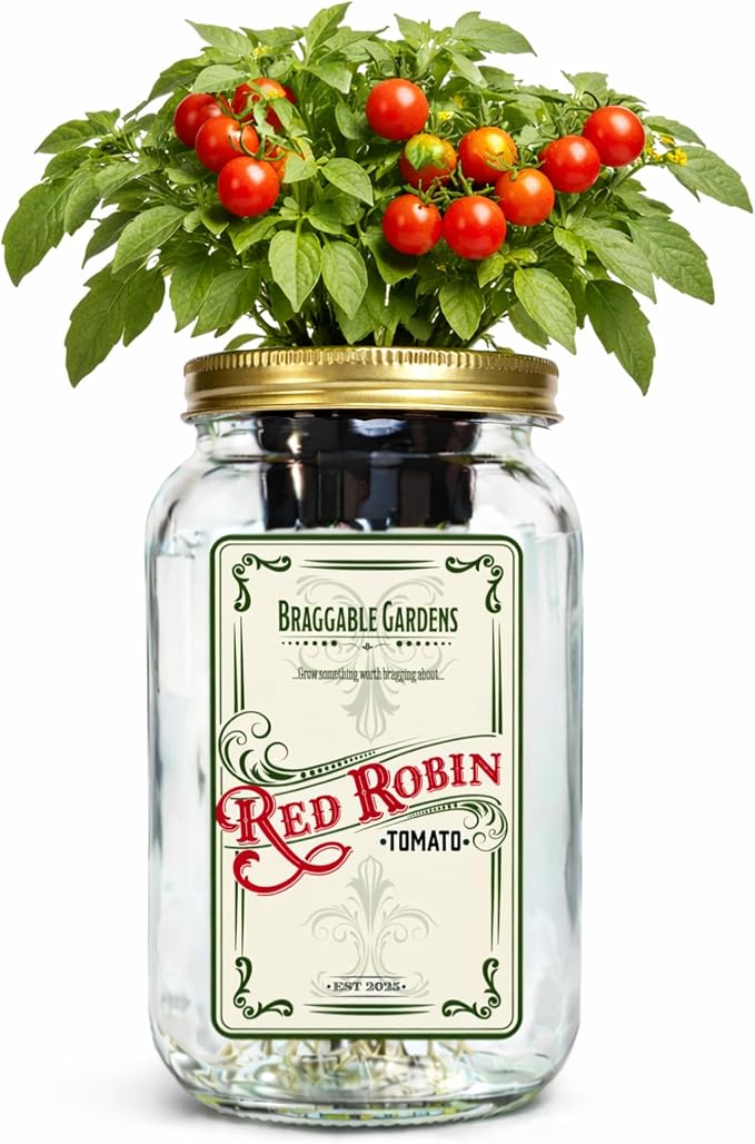Red Robin Cherry Tomato