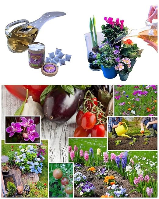 Seed Starter & New Planting Fertilizer