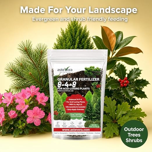 Evergreen Fertilizer