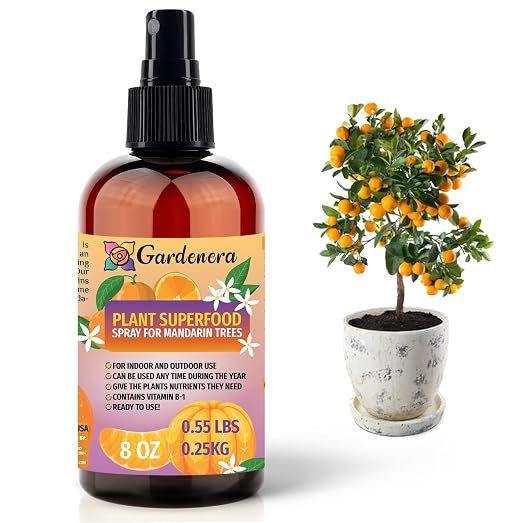 MANDARIN Plants Superfood