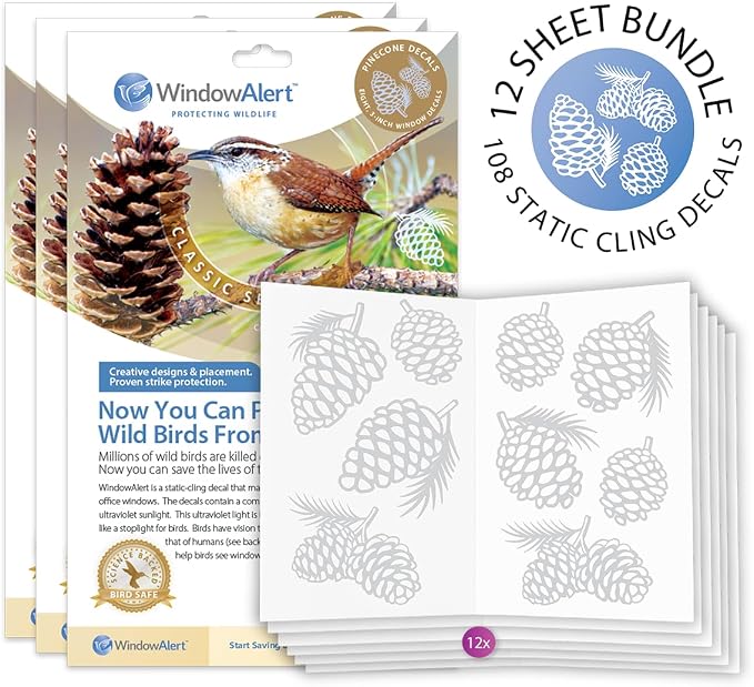 Pinecone
