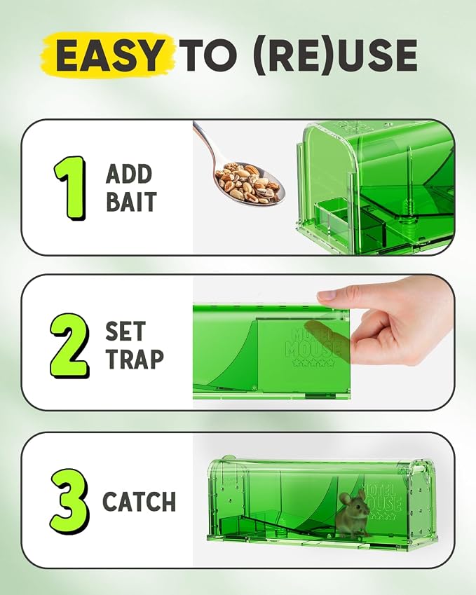 Regular Green