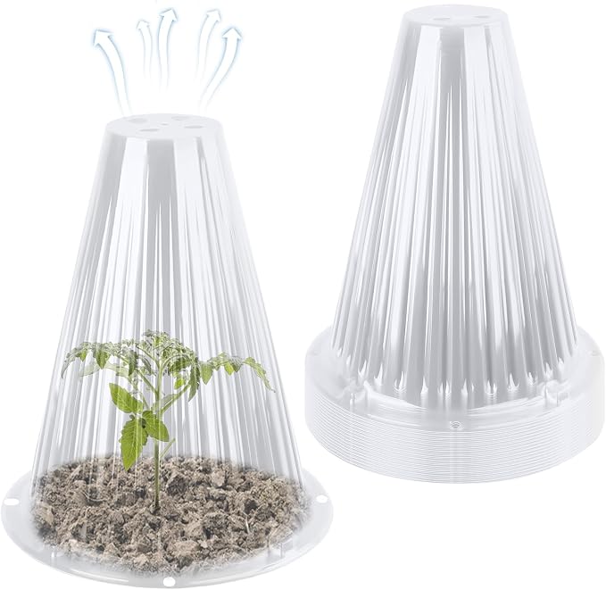 Clear 20pc