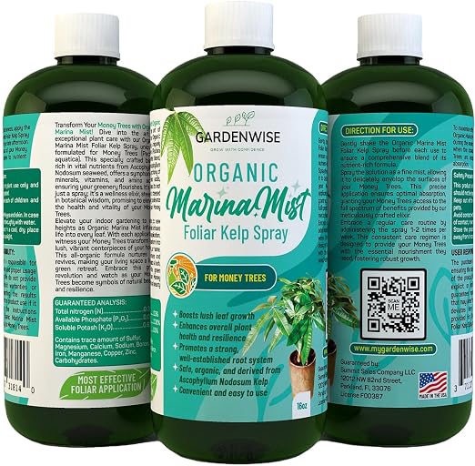 Marina Mist Money Tree Spray
