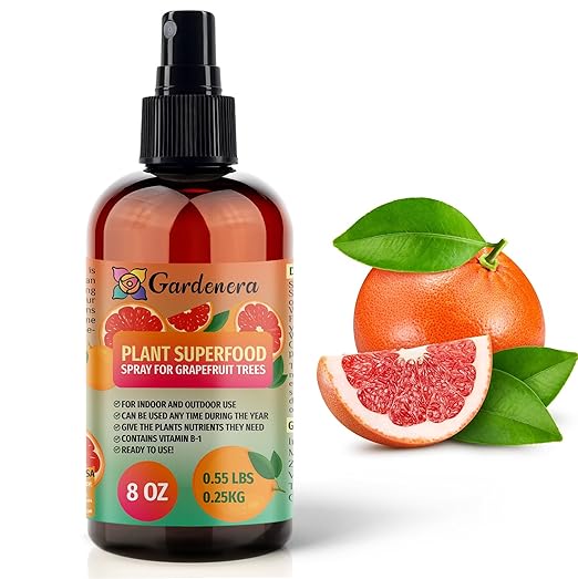 GRAPEFRUIT Plants Superfood