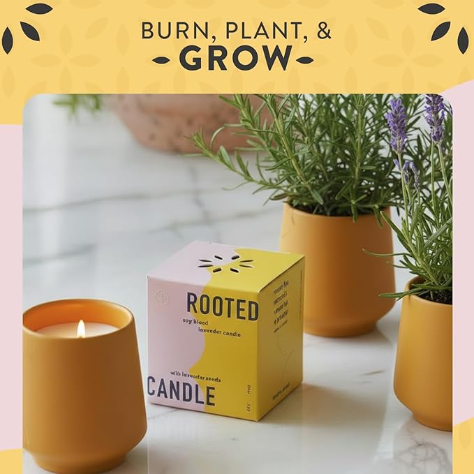 1-Pack Lavendar & Cedarwood