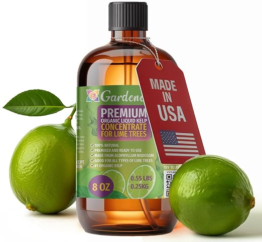 LIME