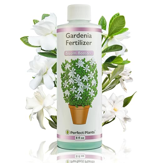 Gardenia Fertilizer