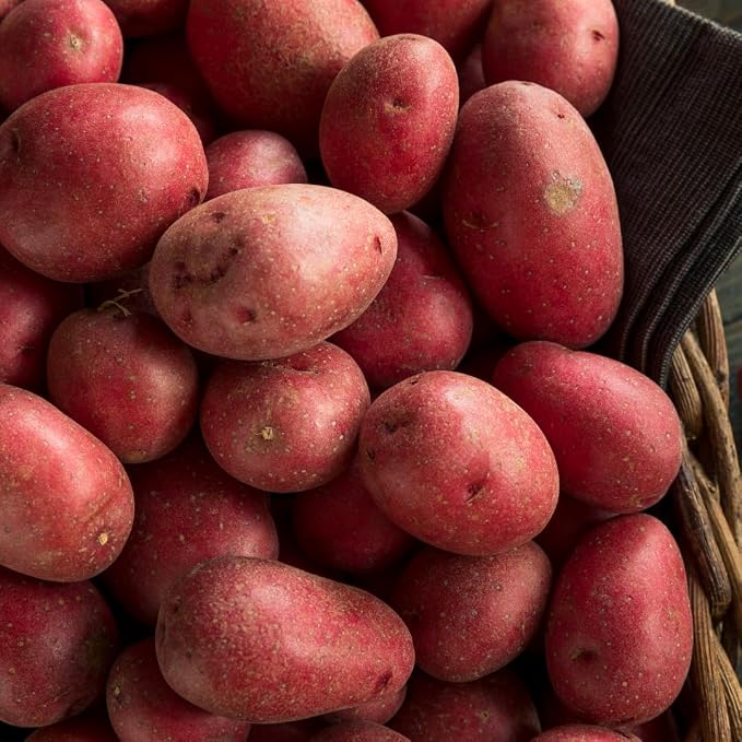 __DEFAULT__
