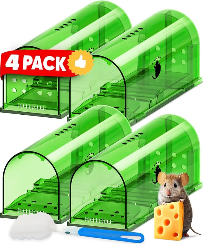 4 Pack - Green