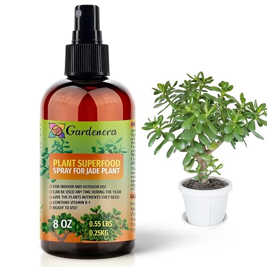 JADE Plants Superfood