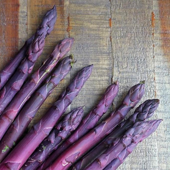 Purple Asparagus