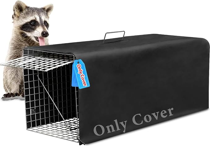 COVER ONLY 1