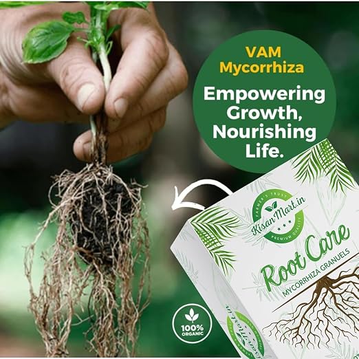 Root Care