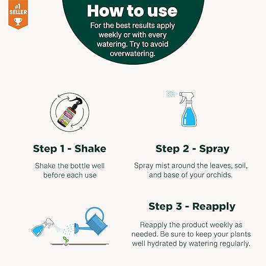 THAI CONSTELLATION