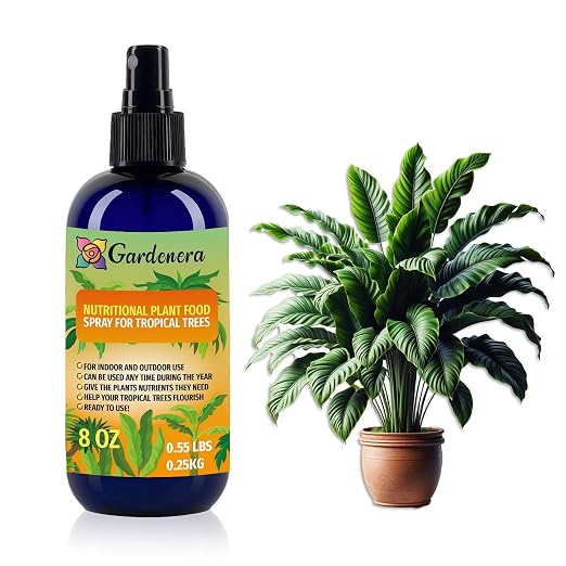 TROPICAL PLANT