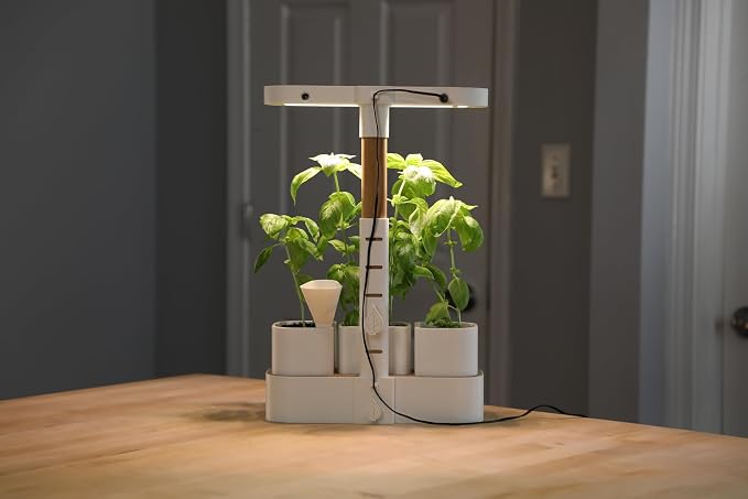 Good Root; Tabletop Planter; White; Dark Oak