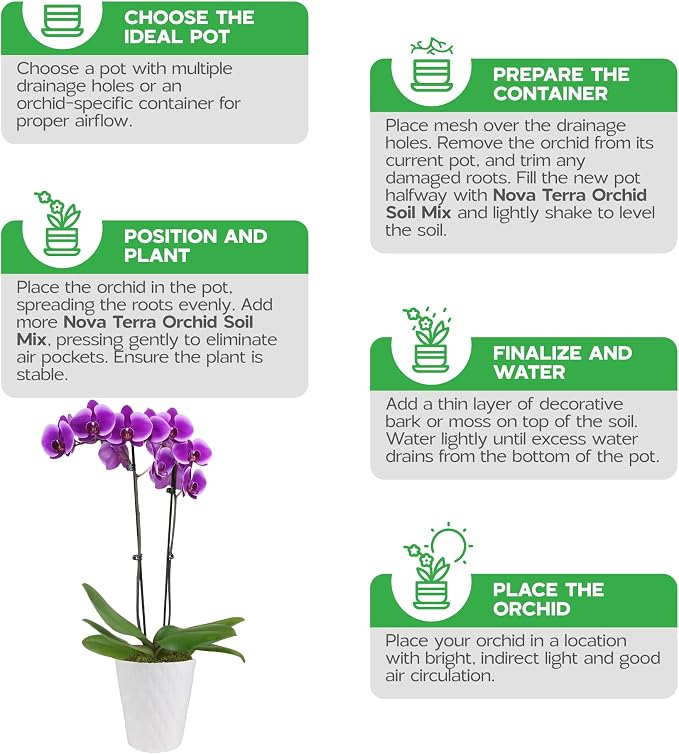 Orchid Soil