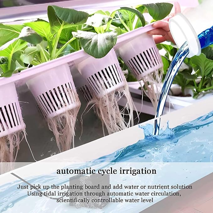 48hole