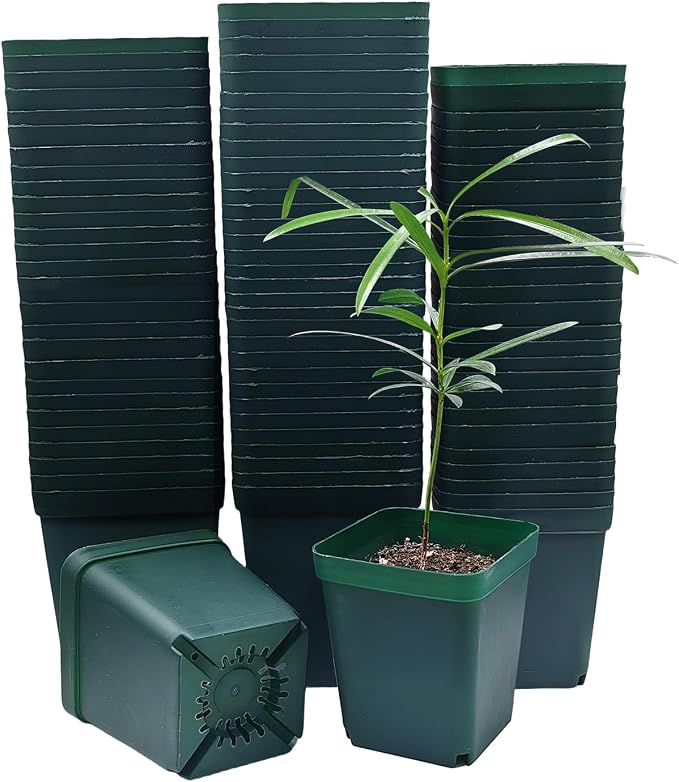 Green-100p