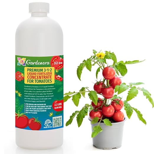 TOMATO