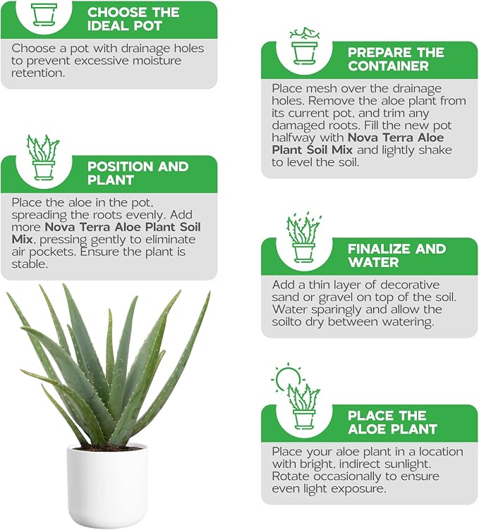 Aloe Vera Soil