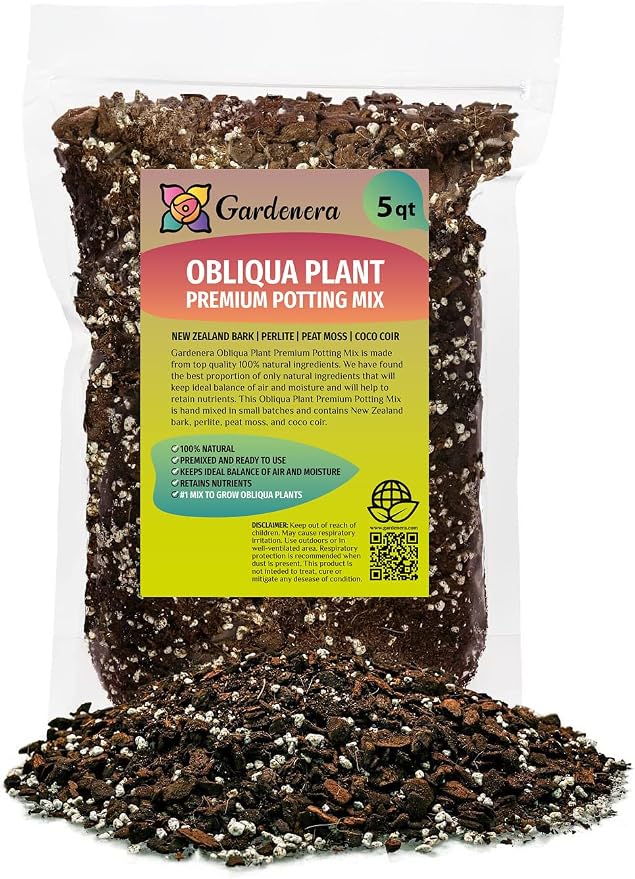 Monstera Obliqua Soil Mix