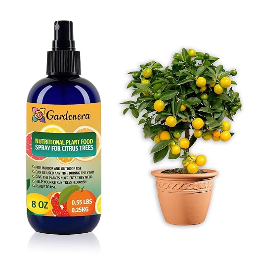 ALL CITRUS TREES