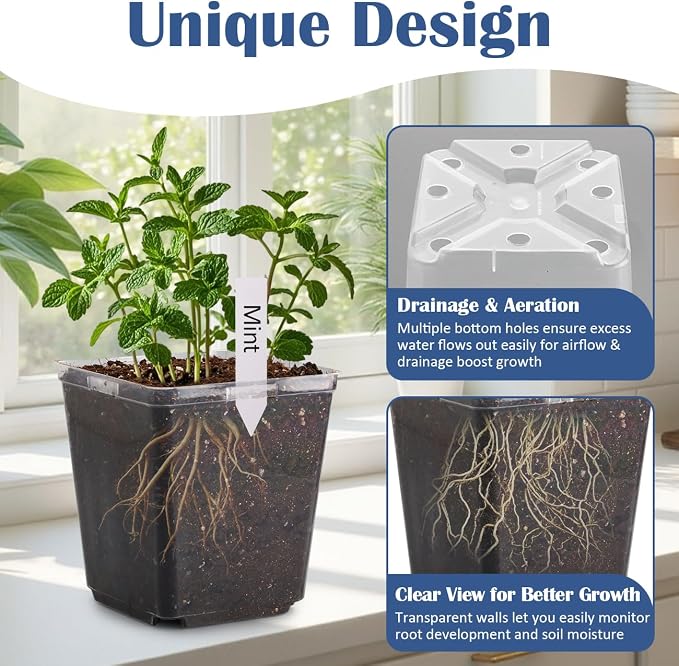 Clear Pot+lable-30p