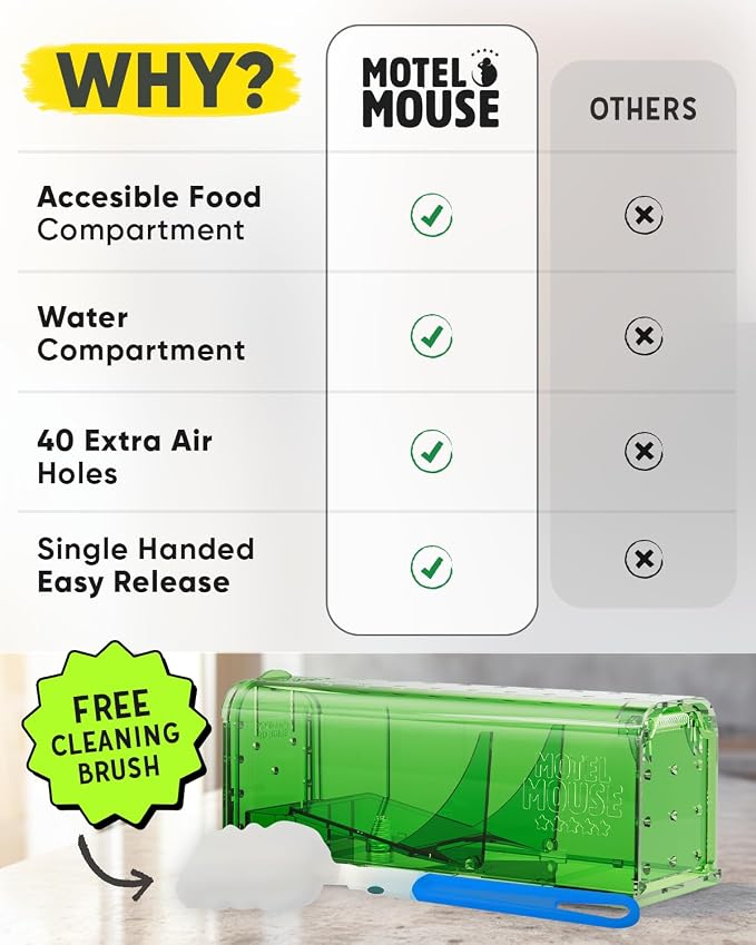Regular Green