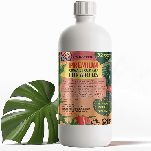 All Aroid Plants