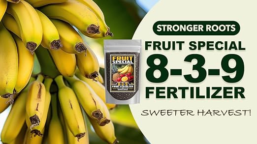 Fruit Special