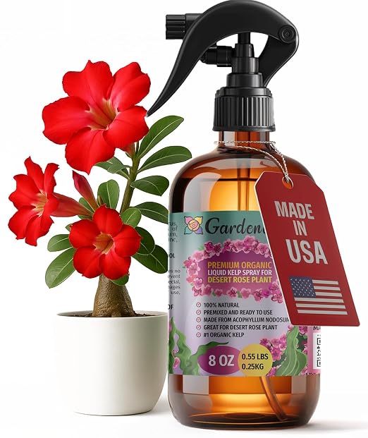 DESERT ROSE