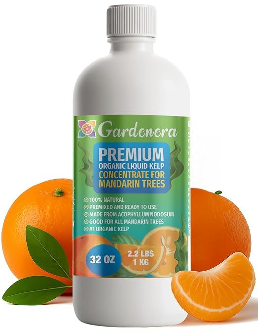 MANDARINE