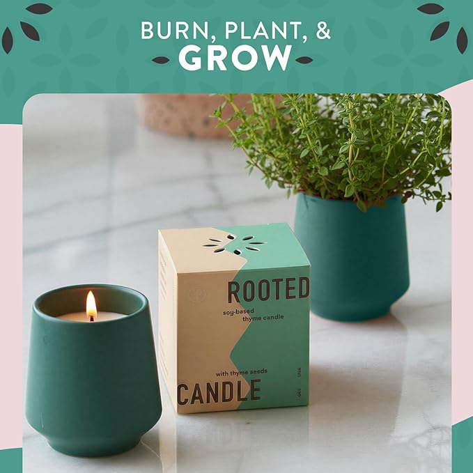1-Pack Thyme & Tonka Bean