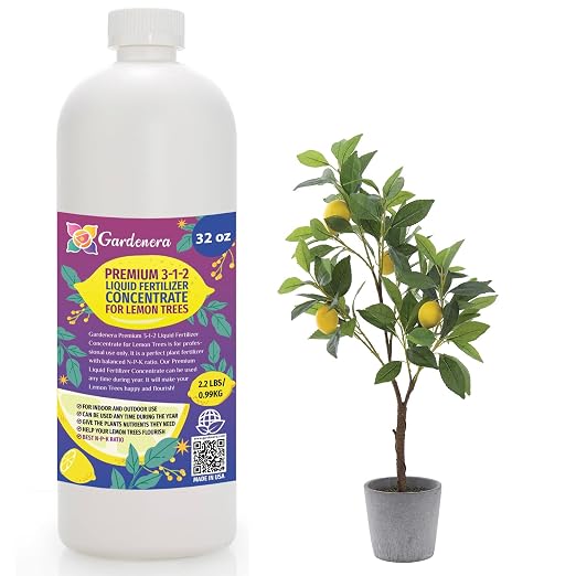LEMON TREE