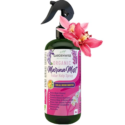 Marina Mist Orchid Spray