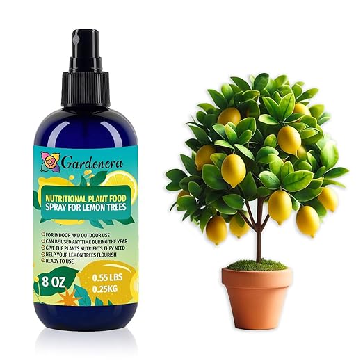 LEMON TREE