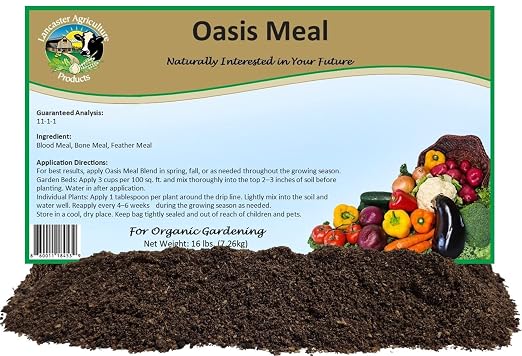 Oasis Meal