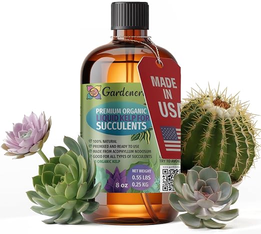 Succulents & Cacti