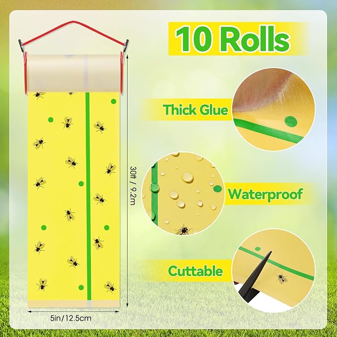 Fluorescent Yellow with Green Lines