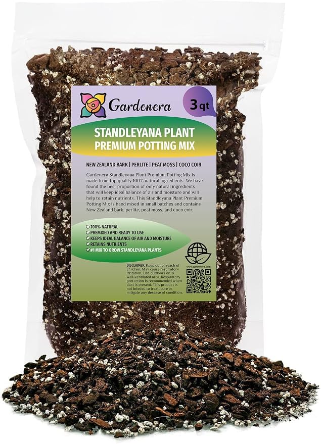 Monstera Standleayana Soil Mix