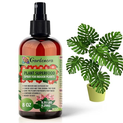 INDOOR Plants Superfood