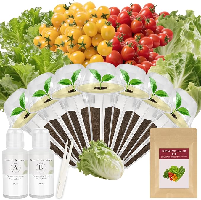 Majero-Spring Mix Salad