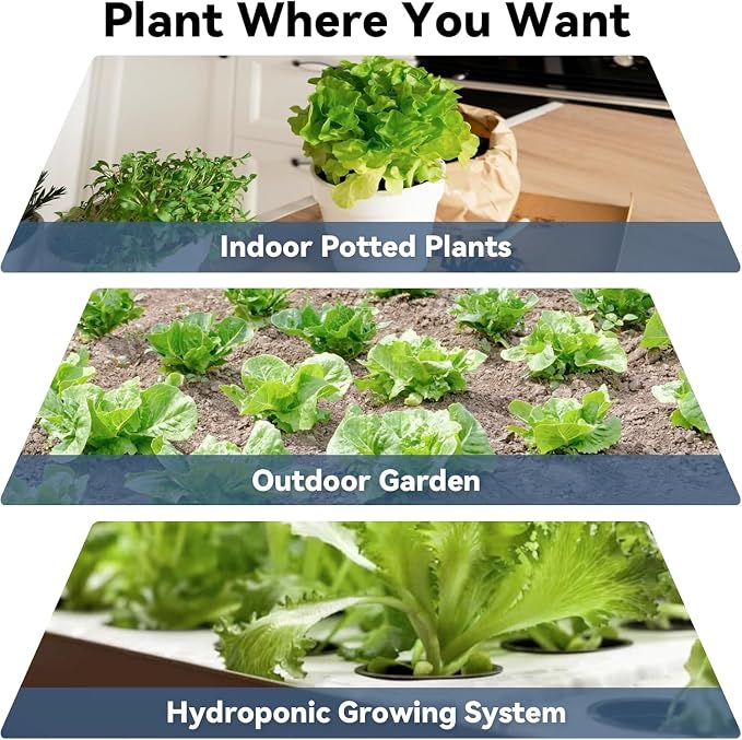 Salad Greens