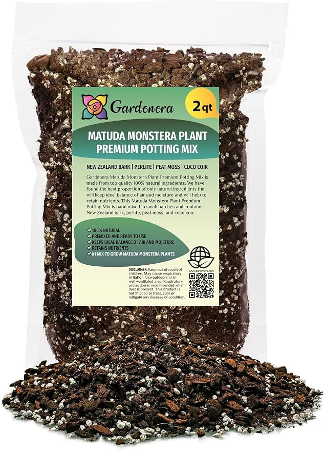 Monstera Siltepecana Matuda Soil Mix