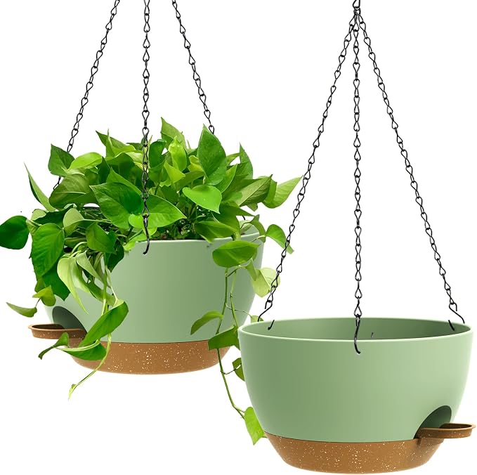 Green With Brown