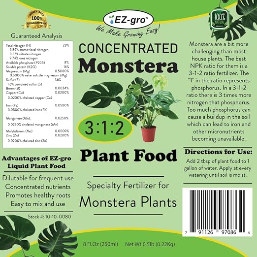 Monstera