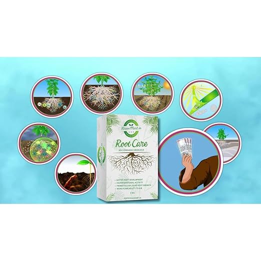 Root Care